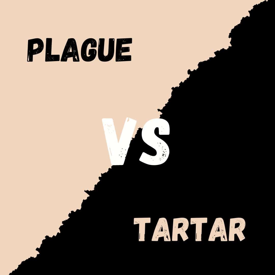 plaque vs tartar